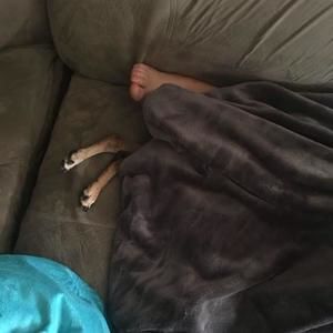 Meet your Posher, Danielle